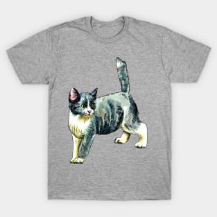 grey kitten T-Shirt